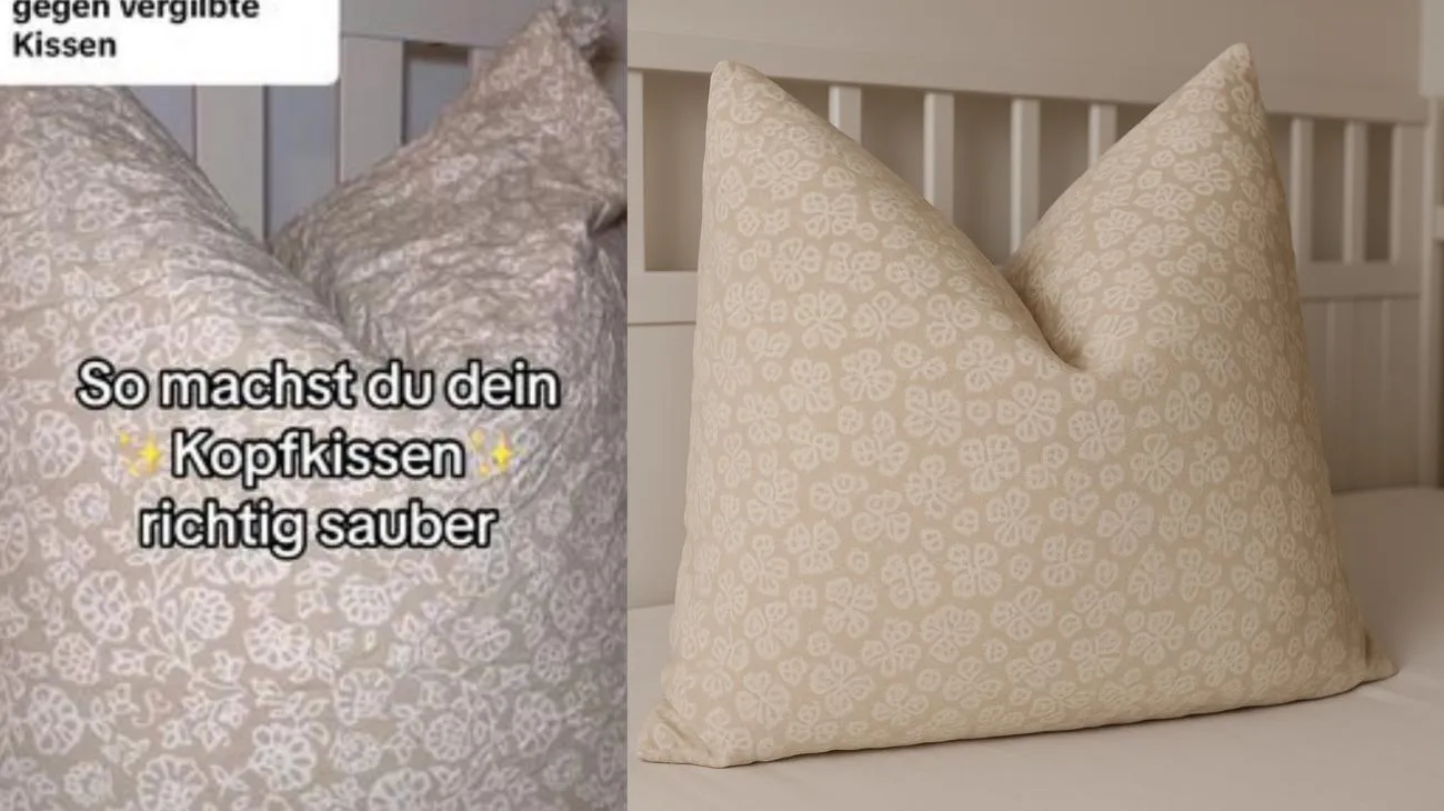 Antwort auf @Maria Iripino Wann habt ihr zuletzt euer Kopfkissen gewaschen? 🧺🫧 #fy #foryou #foryoupage #kopfkissen #kissen #kissenhack #kissenwaschen #saubermachen #sauber #waschen #waschenlernen #waschenfüranfänger #wäschewaschen #schlafen #schlaf #milben #staub #haushalt #putztipps #putztipp #putzhacks #putzhack #frischewäscheduft Kopfkissen waschen, Kopfkissen waschen Hack, Daunen Kissen waschen, baumwollkissen waschen, Kissen richtig waschen, Kopfkissen waschen Waschmaschine, Kissen waschen, Kissen reinigen, Kopfkissen waschen weiss, vergilbte Kissen, vergilbte Kissen reinigen, vergilbte Kopfkissen, schöne Kissen"