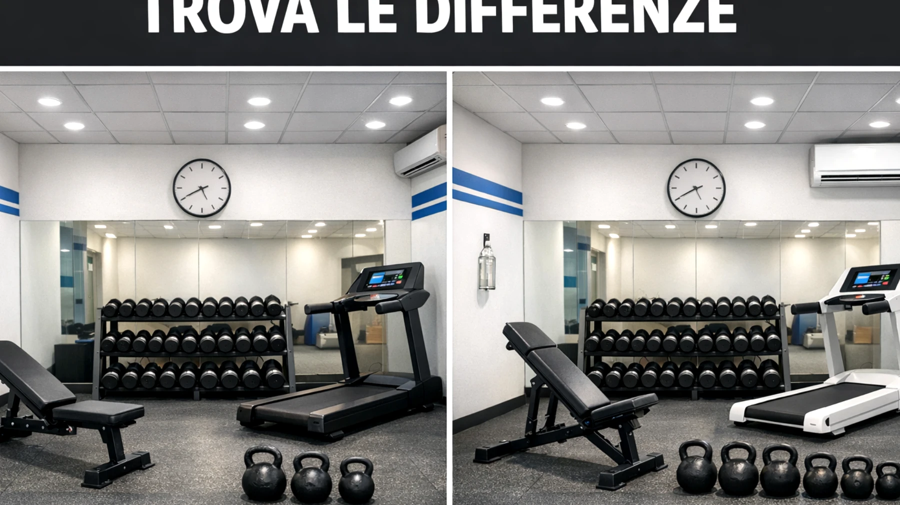 palestramsg_01Gnp2ymHxXCUf2FHFEwTK3d"