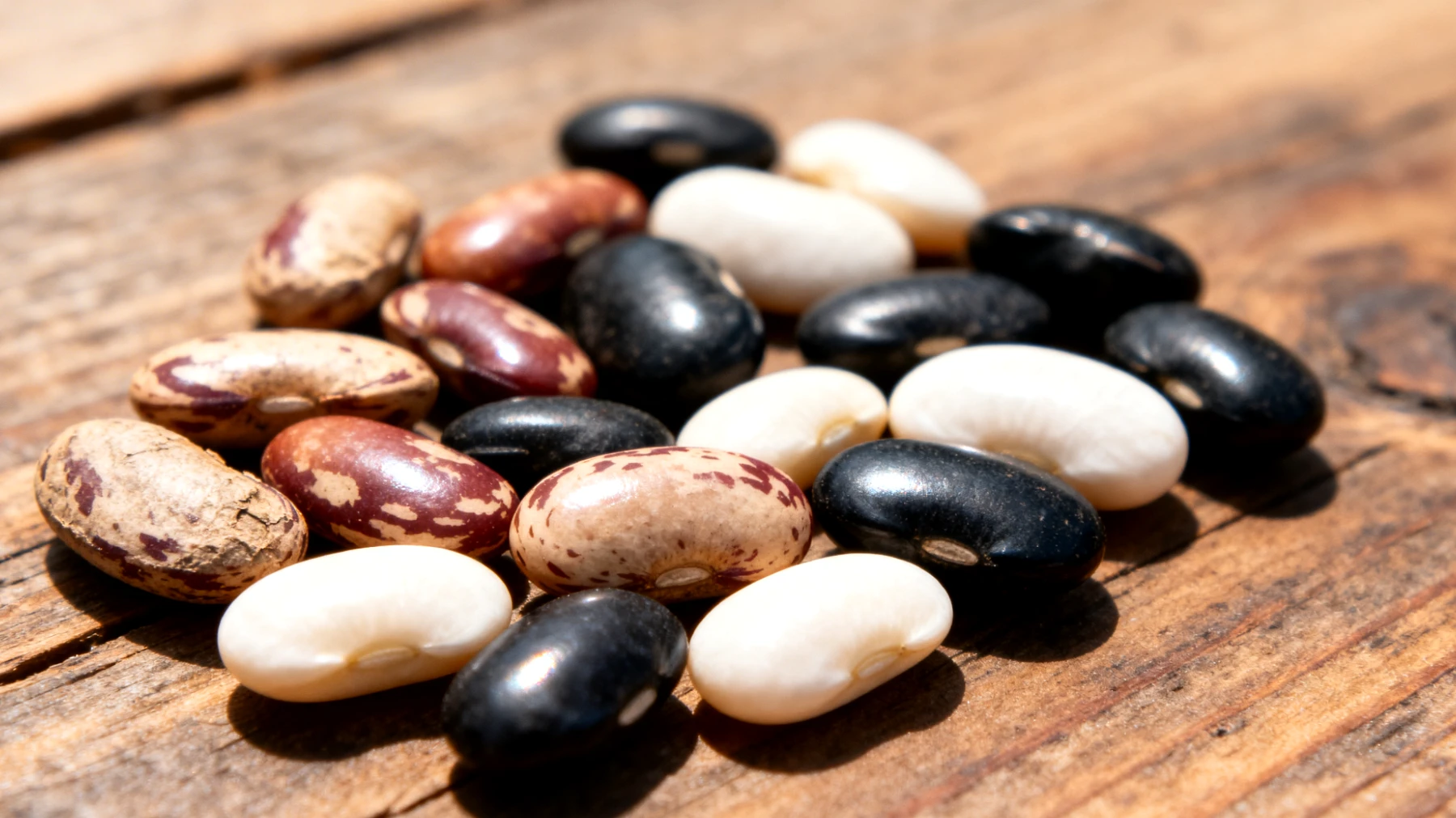 Come scegliere i fagioli giusti in base alla ricetta che si vuole preparare, distinguendo tra fagioli secchi, in scatola, freschi e le diverse varietà (borlotti, cannellini, etc.), per evitare errori di cottura e ottenere il risultato desiderato"